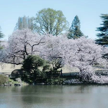 Cava House Shinjuku Gyoen-2